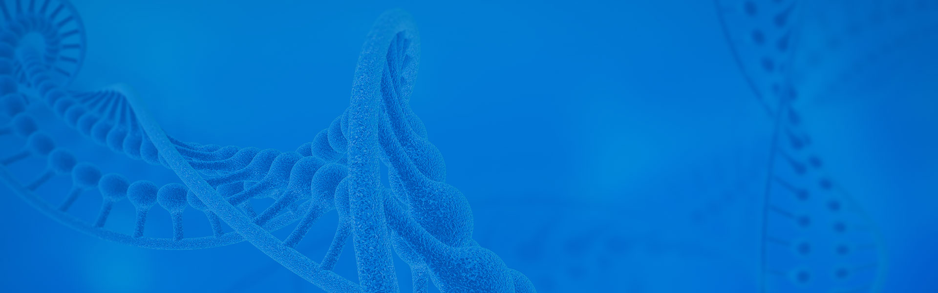 歐盟REACH認(rèn)證